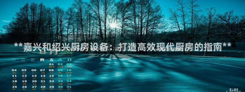 尊龙凯时开发：**嘉兴和绍兴厨房设备：打造高效现代厨房的指南
