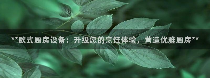 尊龙信息科技有限公司：**欧式厨房设备：升级您的烹饪体验，营
