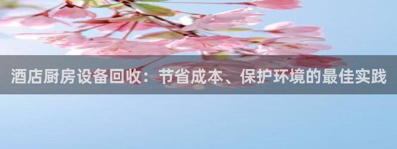 尊龙得过奥斯卡吗：酒店厨房设备回收：节省成本、保护环境的最佳