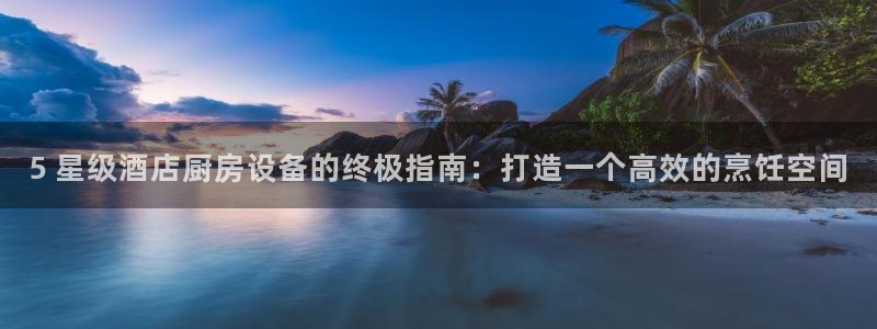 尊龙凯时的生产设备：5 星级酒店厨房设备的终极指南：打造一个