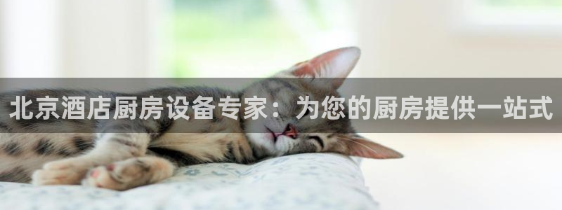 尊龙网站人生就是博：北京酒店厨房设备专家：为您的厨房提供一站