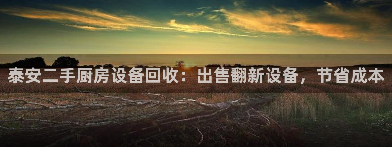 尊龙凯时赢不了：泰安二手厨房设备回收：出售翻新设备，节省成本