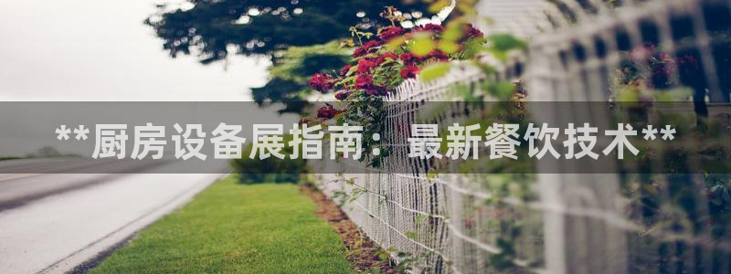 尊龙新版登录网址下载：**厨房设备展指南：最新餐饮技术**