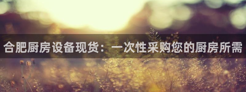 尊龙人生就是博旧：合肥厨房设备现货：一次性采购您的厨房所需