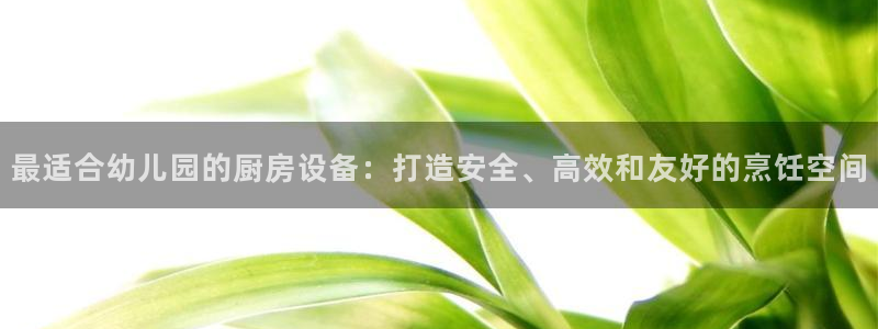 尊龙d88会员：最适合幼儿园的厨房设备：打造安全、高效和友好