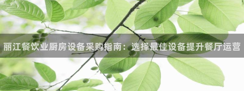 尊龙凯时品牌介绍：丽江餐饮业厨房设备采购指南：选择最佳设备提