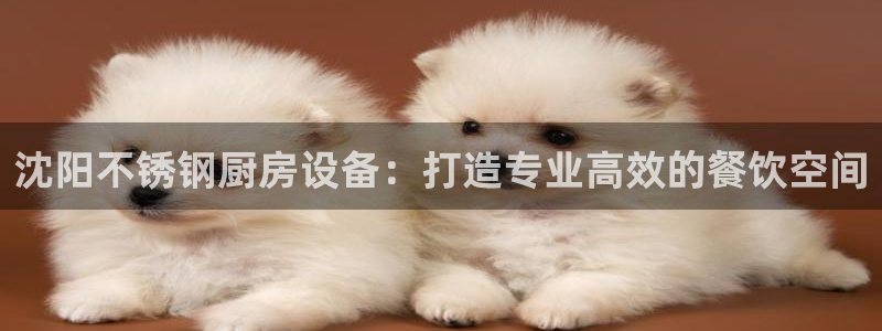 尊龙人生就是博i可靠吗：沈阳不锈钢厨房设备：打造专业高效的餐