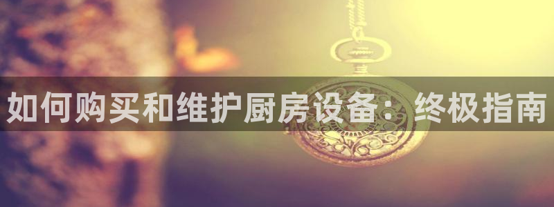 尊龙凯时ag旗舰厅登陆：如何购买和维护厨房设备：终极指南