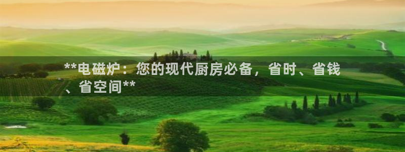 尊龙网站注册网：**电磁炉：您的现代厨房必备，省时、省钱
、