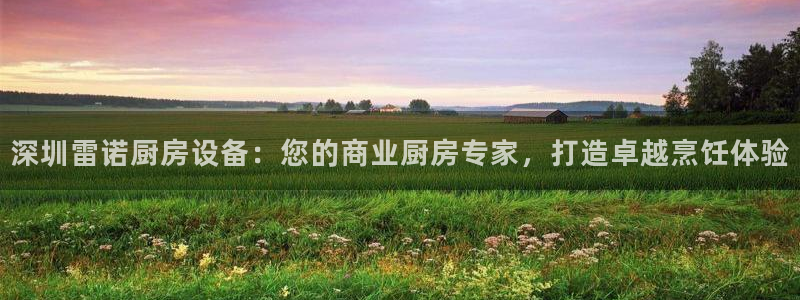 尊龙凯时一人生就是博登入：深圳雷诺厨房设备：您的商业厨房专家