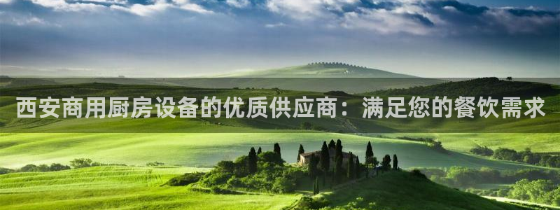尊龙集团有限公司是国企吗：西安商用厨房设备的优质供应商：满足