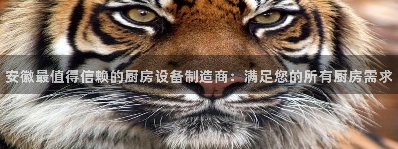 尊龙官方APP下载：安徽最值得信赖的厨房设备制造商：满足您的