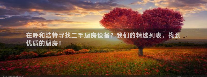 下载尊龙：在呼和浩特寻找二手厨房设备？我们的精选列表，找到
