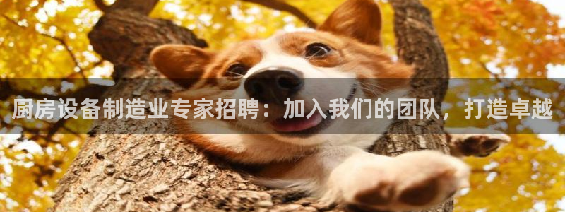 d88尊龙官网手机app：厨房设备制造业专家招聘：加入我们的