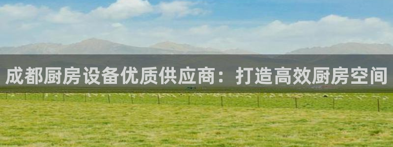 尊龙官网免费下载安装：成都厨房设备优质供应商：打造高效厨房空