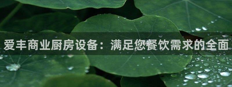 尊龙凯时导航菜单首页：爱丰商业厨房设备：满足您餐饮需求的全面