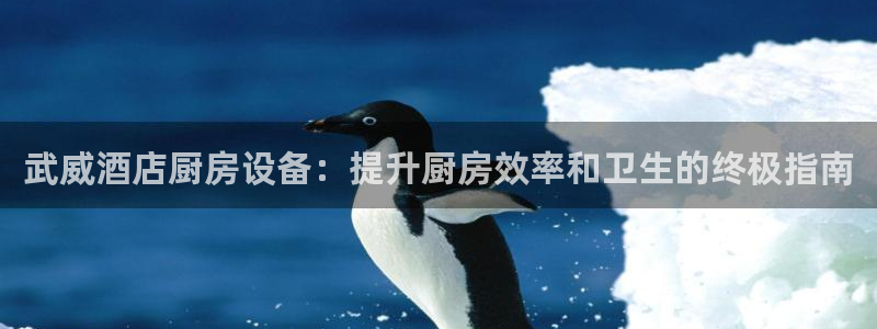 凯时国际app登录：武威酒店厨房设备：提升厨房效率和卫生的终