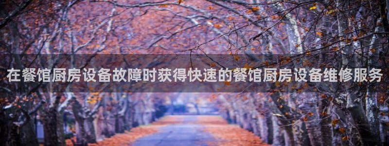 尊龙凯时是大平台吗：在餐馆厨房设备故障时获得快速的餐馆厨房设