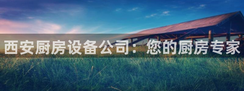 尊龙ktv怎么样：西安厨房设备公司：您的厨房专家