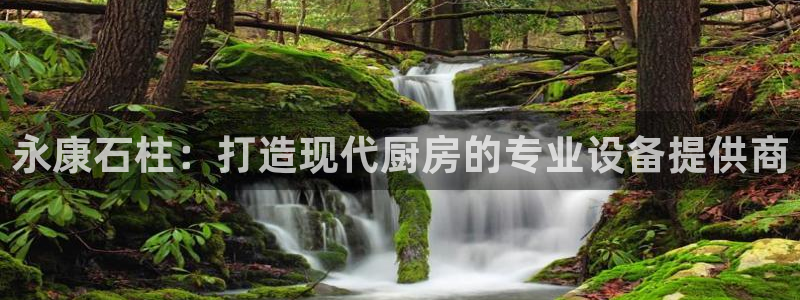尊龙凯时网站网址：永康石柱：打造现代厨房的专业设备提供商