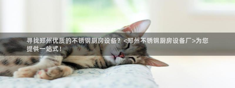 尊龙ag旗舰厅登录 租车app下载：寻找郑州优质的不锈钢厨房