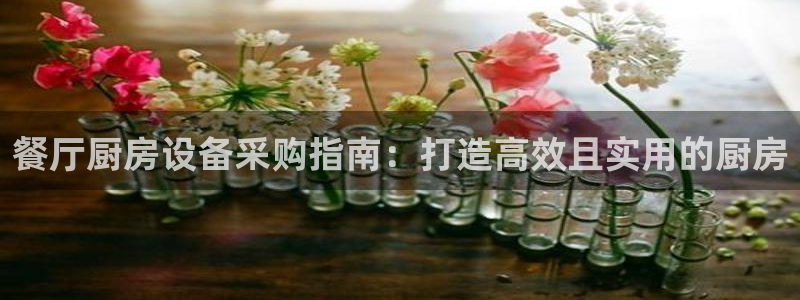 尊龙物流怎么样：餐厅厨房设备采购指南：打造高效且实用的厨房