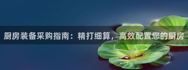 凯时登录首页,凯时K66：厨房装备采购指南：精打细算，高效配