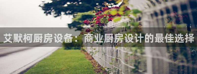 尊龙500价格：艾默柯厨房设备：商业厨房设计的最佳选择