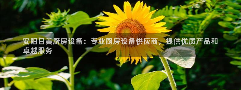 KB88凯时官网：安阳日美厨房设备：专业厨房设备供应商，提供