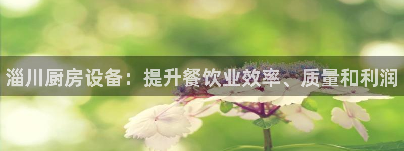 尊龙app最新版本官网：淄川厨房设备：提升餐饮业效率、质量和