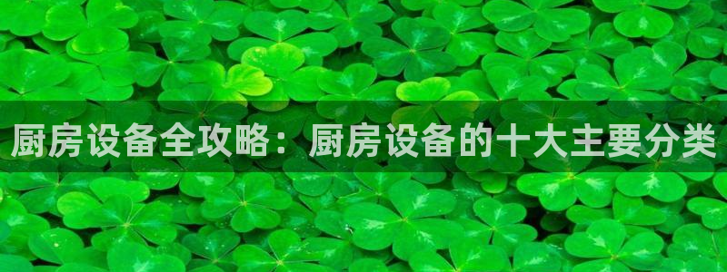 尊龙app官网登录：厨房设备全攻略：厨房设备的十大主要分类