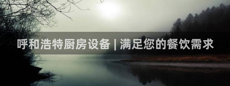 尊龙凯时处理未到账：呼和浩特厨房设备 | 满足您的餐饮需求