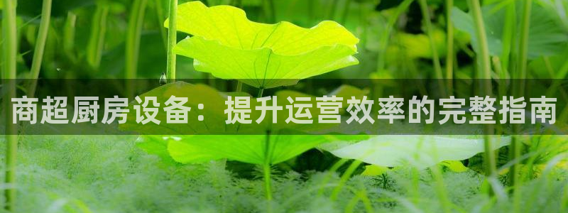 尊龙凯时不朽情缘：商超厨房设备：提升运营效率的完整指南