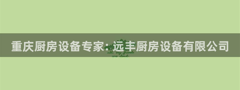 尊龙现金推荐ag发财网：重庆厨房设备专家: 远丰厨房设备有限