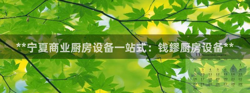 凯时平台怎么样：**宁夏商业厨房设备一站式：钱鏐厨房设备**