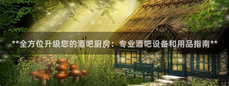 尊龙官网在哪里：**全方位升级您的酒吧厨房：专业酒吧设备和用