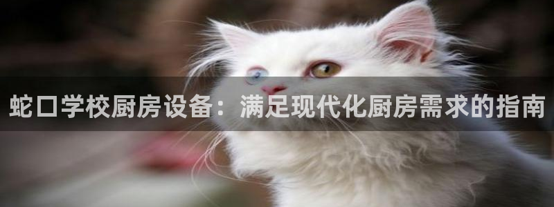 尊龙实业有限公司是正规还是仿：蛇口学校厨房设备：满足现代化厨