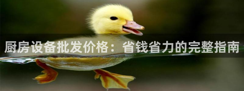 凯时是AG优质运营商：厨房设备批发价格：省钱省力的完整指南