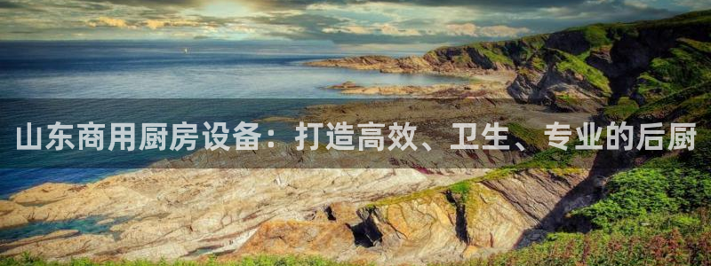 尊龙d88皆选ag发财网：山东商用厨房设备：打造高效、卫生、