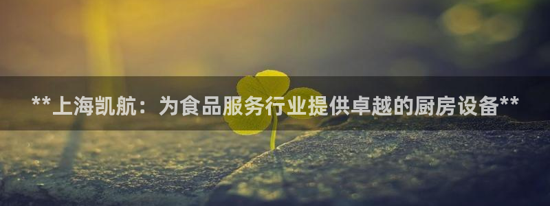 尊龙凯时ag旗舰：**上海凯航：为食品服务行业提供卓越的厨房