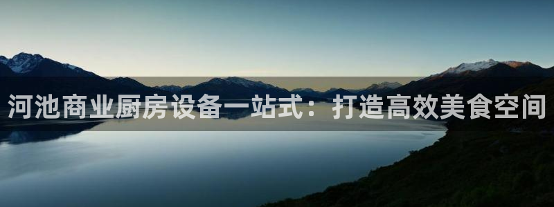 尊龙网站登录：河池商业厨房设备一站式：打造高效美食空间