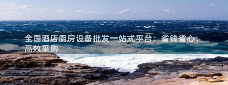 尊龙人生就是搏：全国酒店厨房设备批发一站式平台：省钱省心，
