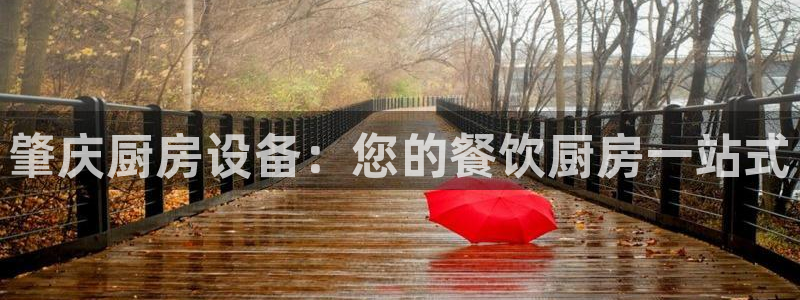 尊龙凯时平台还是万搏好：肇庆厨房设备：您的餐饮厨房一站式