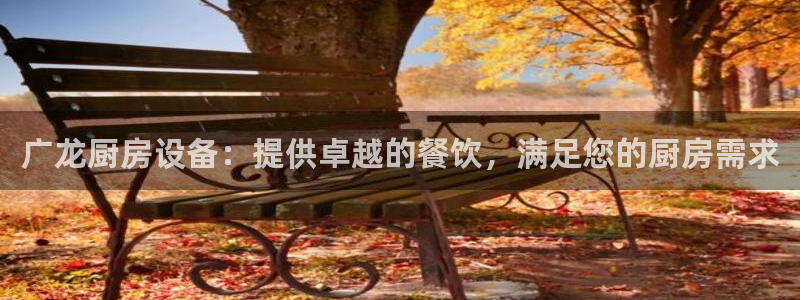 尊龙传奇英文怎么写：广龙厨房设备：提供卓越的餐饮，满足您的厨