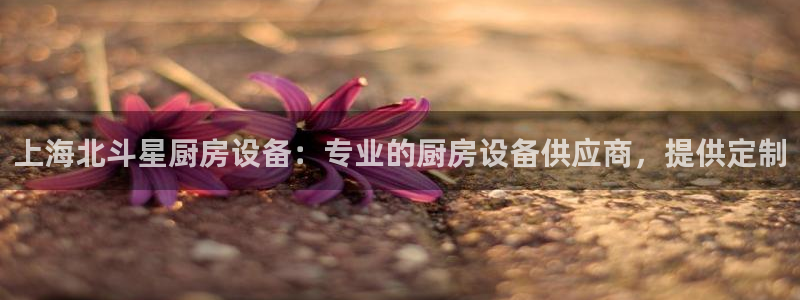 尊龙游戏app官方网站：上海北斗星厨房设备：专业的厨房设备供