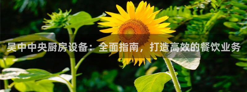 尊龙凯时人生就是博·(中国)官网最新：吴中中央厨房设备：全面