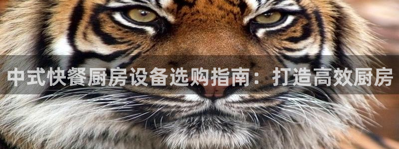 尊龙凯时防屏蔽网址：中式快餐厨房设备选购指南：打造高效厨房