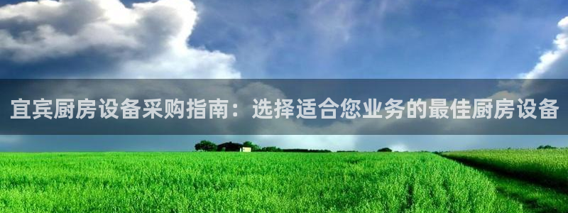 尊龙凯时和九游会哪个平台好一点：宜宾厨房设备采购指南：选择适