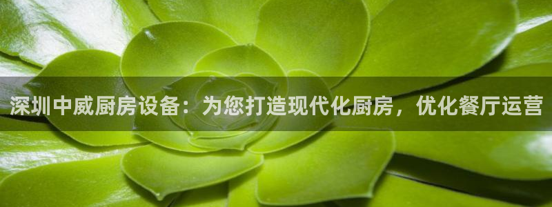 尊龙登录首页：深圳中威厨房设备：为您打造现代化厨房，优化餐厅