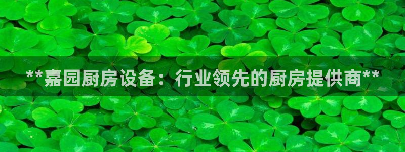 尊龙新版官网网页版：**嘉园厨房设备：行业领先的厨房提供商*